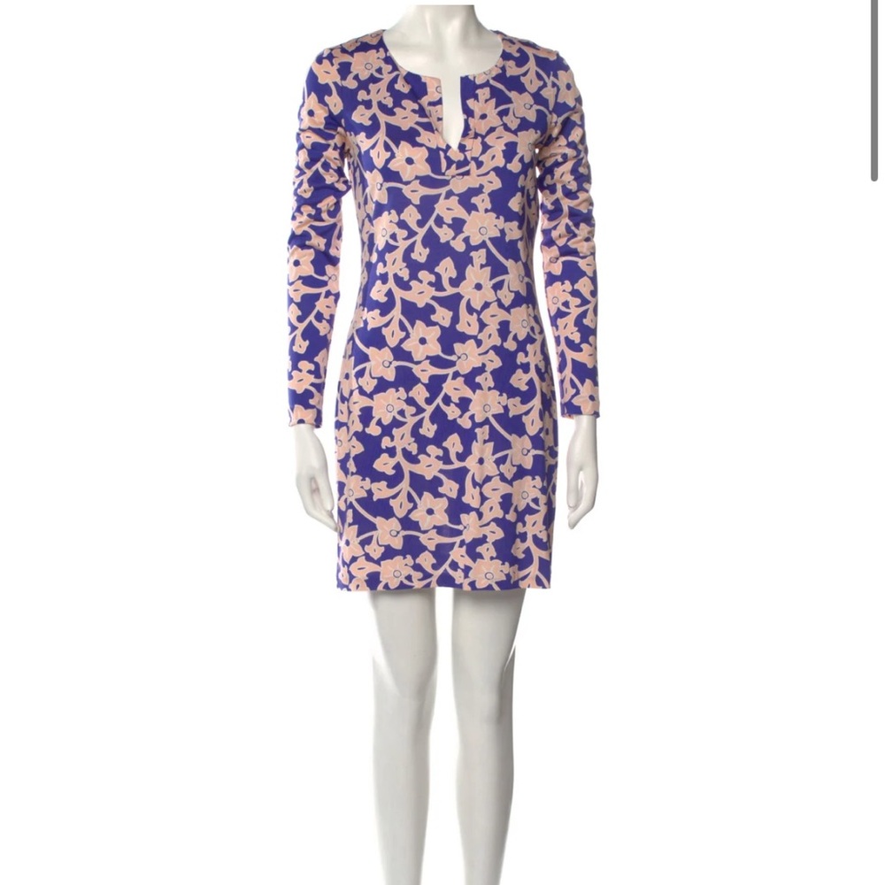DVF Long Sleeve Shift Print Dress 1974 Reina Burma Rose size S/4